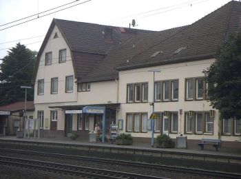 Percorso A piedi Rotenburg - Nordpfad 'Rotenburger Wasserreich' - Photo