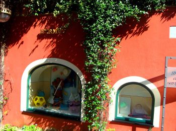 Tocht Te voet Camogli - Ruta - Pietre Strette - Olmi - Portofino - Photo