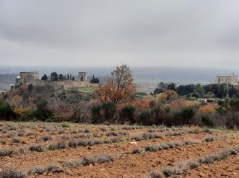 Randonnée Marche Roussas - Roussas 8km - Photo