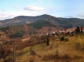 Excursión A pie Forbach - Glücksweg - Photo