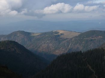 Tocht Te voet Feldberg - Feldbergsteig - Photo