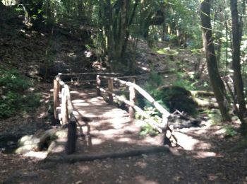 Excursión Senderismo Hermigua - La Gomera - El Cedro - Ermita de Lourdes 9/5/2019 - Photo