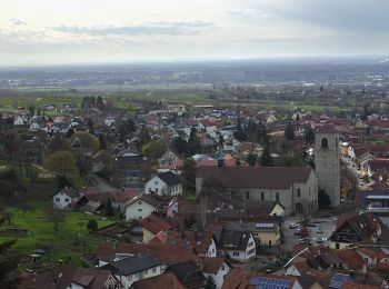 Tocht Te voet  - Schartenberg-Rundweg - Photo