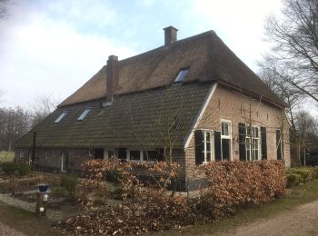 Tour Zu Fuß Bronckhorst - Cuypers op de Kranenburg route - Photo