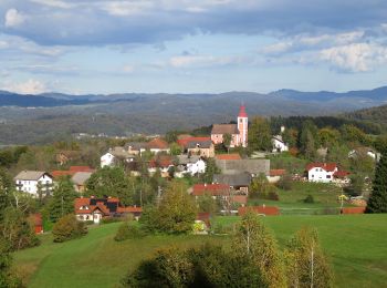 Tocht Te voet Ig - Gozdna učna pot Draga pri Igu - Photo