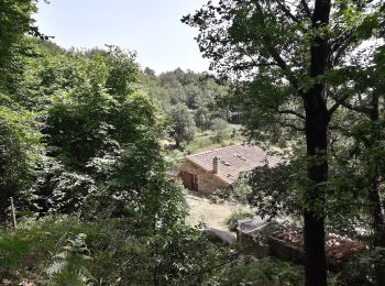 Randonnée A pied Fogars de Montclús - L'empedrat de Morou - Photo