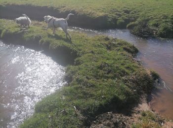 Randonnée Marche Montmelard - vauzelle - Photo