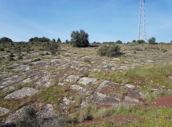 Excursión Marcha nórdica Le Puech - Les Hémies 10 Mars 2021 - Photo