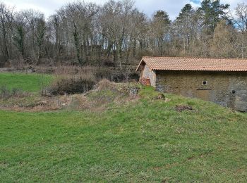 Trail On foot Thuilley-aux-Groseilles - Circuit du Bois de Feys - Photo