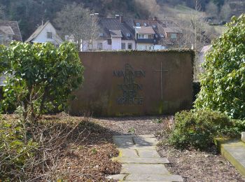 Trail On foot Wolfach - Wolfach - Hornberg - Photo