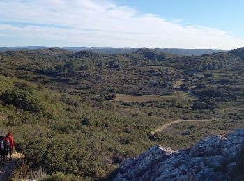 Excursión Senderismo Aramon - Les Castillones  - Photo