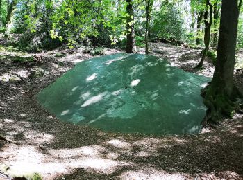 Tour Zu Fuß Puiseux-en-Retz - Route du Faîte - Photo