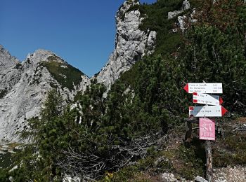 Trail On foot Dogna - IT-605 - Photo