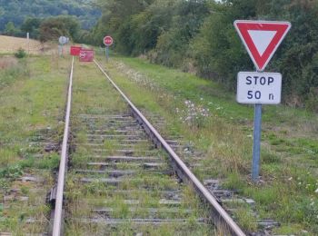 Tocht Andere activiteiten Chantraines - cyclo rail - Photo