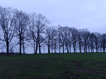 Tocht Stappen Neupré - quintyfyon j+5 rando 1 Neupré  - Photo