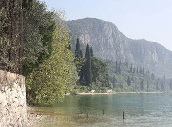 Trail On foot Torri del Benaco - Punta San Vigilio - Crero - Photo