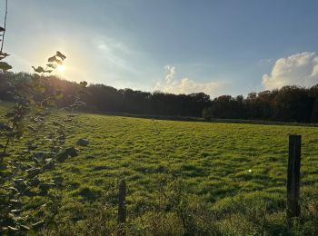 Tocht Stappen Bertem - Speelbos - Photo