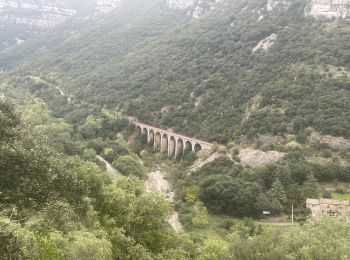 Randonnée Marche Sumène - Sumene , le pont des chèvres - Photo