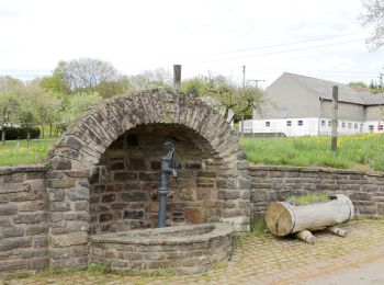 Percorso A piedi Krautscheid - Berkoth - Photo