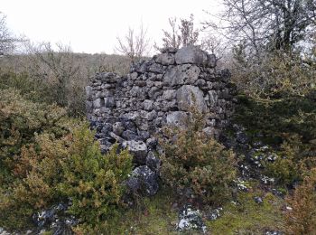 Excursión Senderismo Sainte-Eulalie-de-Cernon - boîtes jaunes - Photo