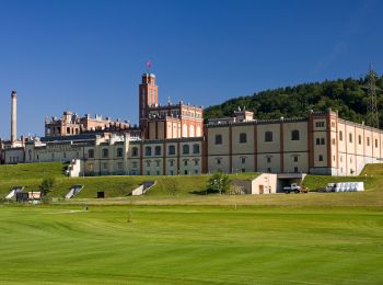 Tour Zu Fuß Kaiseraugst - Rheinuferweg Augst-Rheinfelden - Photo