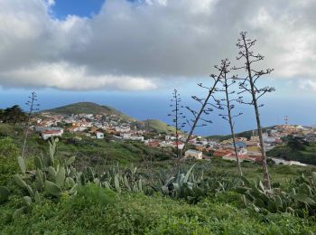 Tocht Stappen Valverde - Valverde - Garoé - Ventejis (El Hierro) - Photo