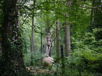 Percorso Marcia Hamois - SENTIERS D'ART - 150 km - Assesse, Ciney, Gesves, Hamois, Havelange, Ohey et Somme-Leuze - Photo