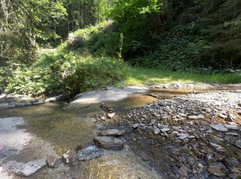 Tocht Stappen La Côte-d'Arbroz - 11 MORZINE  - Photo