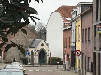 Tocht Stappen Tervuren - Voer bois  - Photo