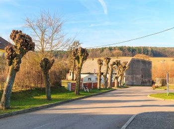 Tour Zu Fuß Vápenný Podol - [Z] Vápenný Podol - Lovětínská rokle - Photo