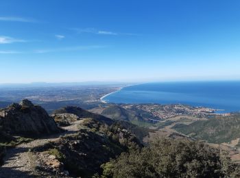 Trail Walking Collioure - MADELOC depuis col de la serra, via col formigo,  batterie 500, madeloc, col tellaferra  - Photo