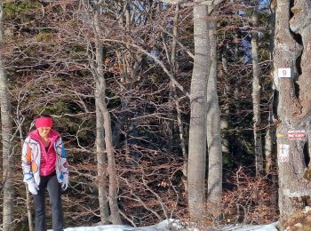 Excursión Raquetas de nieve Saint-Christophe-sur-Guiers - La ruchère - Photo