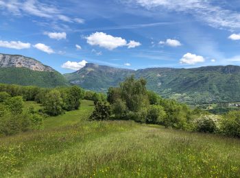 Trail Mountain bike Chambéry - Tour secteur Saint Michel - Photo