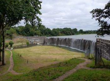 Tour Wandern La Tessoualle - MAINE ET LOIRE: TOUR DU LAC DE RIBOU - Photo