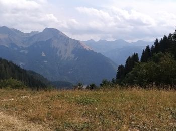 Tour Wandern Saint-Jean-d'Aulps - Sommet des Têtes avec descente à Graydon - Photo