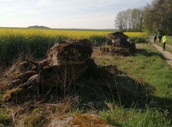 Tocht Stappen Montreuil-sur-Epte - Montreuil sur Epte- Ducourt les vignes Mignot   - Photo