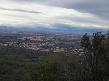 Percorso Marcia Laroque-des-Albères - La Roque des Albères, les cabanes de Mataporcs - Photo