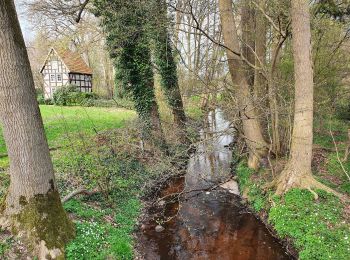 Randonnée A pied Visselhövede - Nordpfad 'Federlohmühlen' - Photo