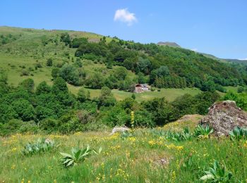 Tocht Stappen Lavigerie - Cantal - La Gravière - La Vallée de l'Impradine - 6km 170m 2h20 - 2019 07 03 - Photo