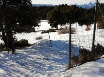 Tour Schneeschuhwandern Font-Romeu-Odeillo-Via - petit tour au dessus de l'appartement  - Photo