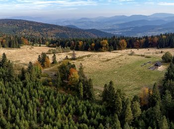 Tour Zu Fuß Podłopień - Zęzów - Łopień - Photo