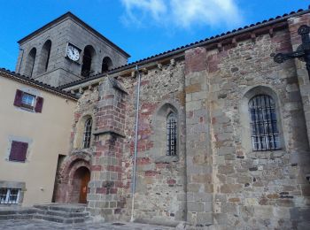 Tocht Te voet Isserteaux - Le Puy du Courdeloup - Photo