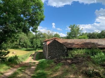 Excursión Senderismo Saint-Paulien - St Paulien - LISSAC - Photo