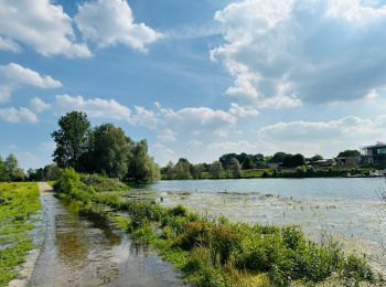 Tocht Stappen Dilsen-Stokkem - maasvallei-stokkem-instapplaats-de-wissen-p10-groen - Photo