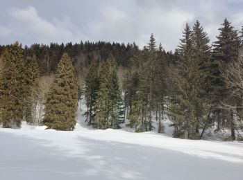 Percorso Racchette da neve Autrans-Méaudre en Vercors - Pas de Nave  - Photo