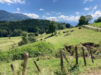 Percorso Bicicletta elettrica Lépin-le-Lac - Les pain cinq francs la bouche - Photo