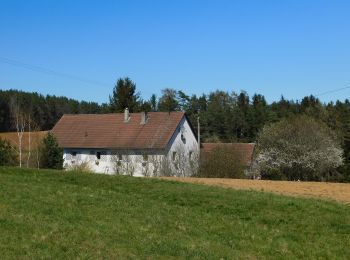 Excursión A pie Ahorntal - Zu Höhlenbär und Millionär - Photo