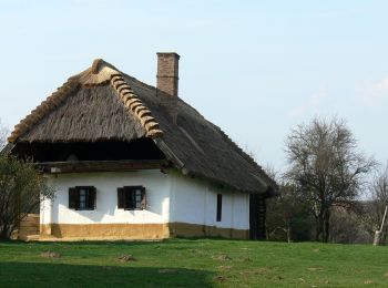 Randonnée A pied Szalafő - Körtike tanösvény - Photo