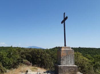 Trail Walking Rasteau - Rasteau Serre de la Garde - Photo