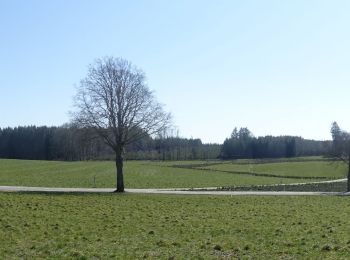 Trail Walking Neufchâteau - Massul - Bercheux - Photo